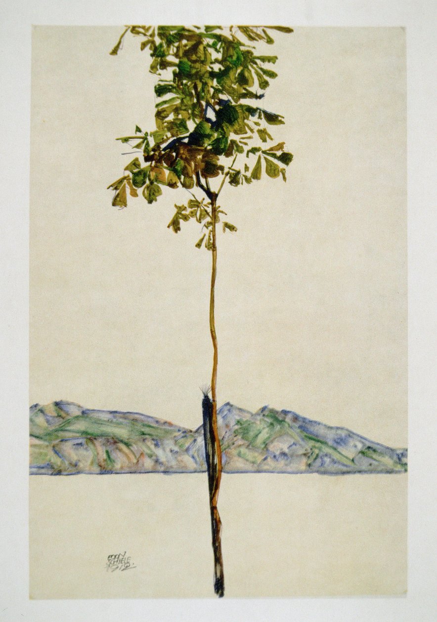 Baeumchen - Châtaignier au bord du lac de Constance - Egon Schiele
