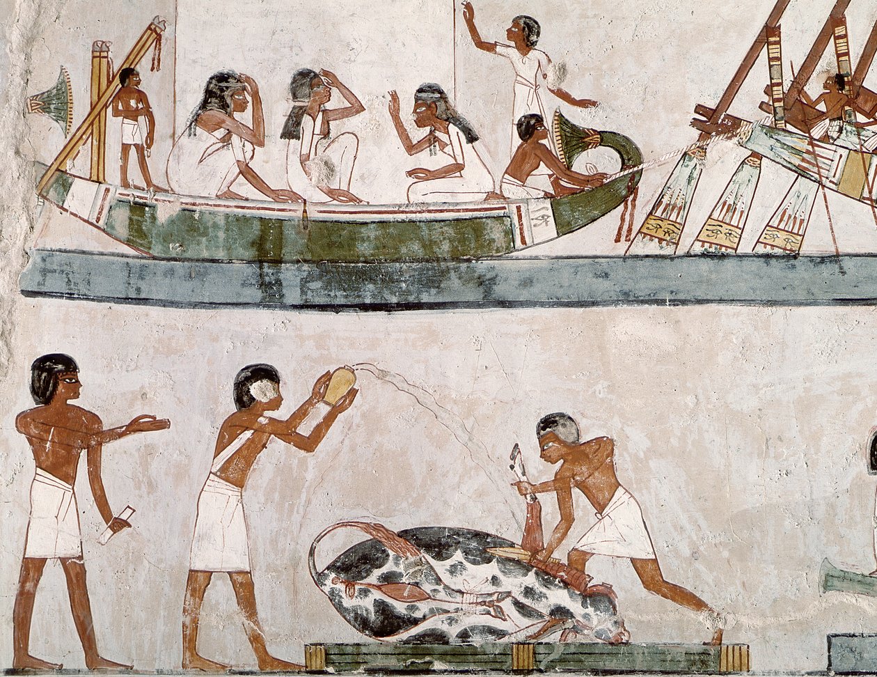 Sacrifice et purification d