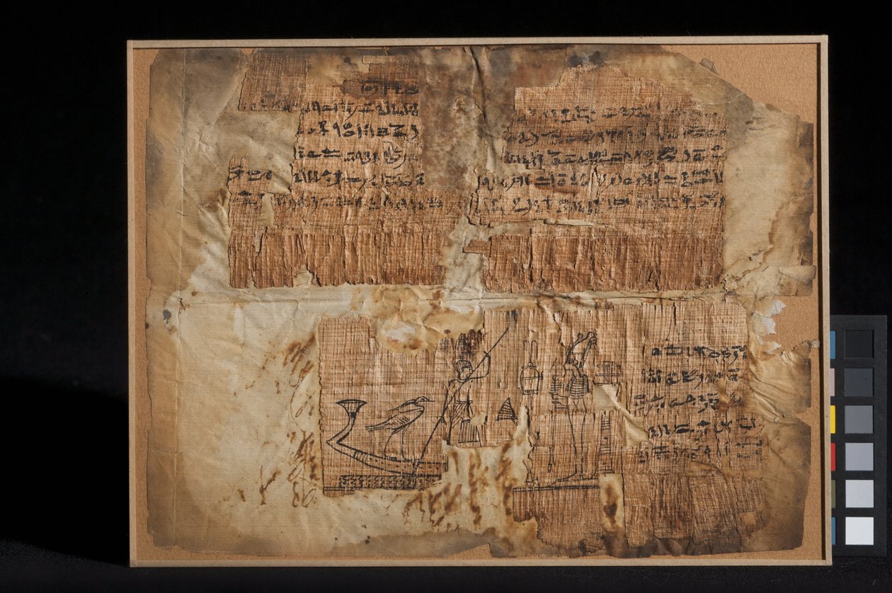 Fragment de papyrus, du chapitre 100, du Livre des Morts - Egyptian Ptolemaic Period