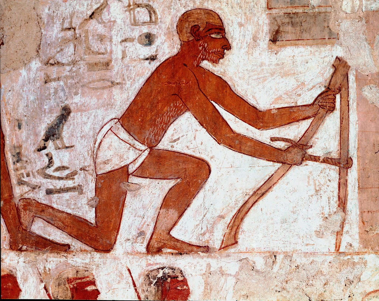 Art égyptien : Tombe de Rekhmire. Travail du laboureur avec son outil agricole. Fresque de Louxor (Site de Thèbes, Nécropole de Sheikh Abd al-Gournah, rive gauche du Nil, Égypte) - Egyptian 18th Dynasty