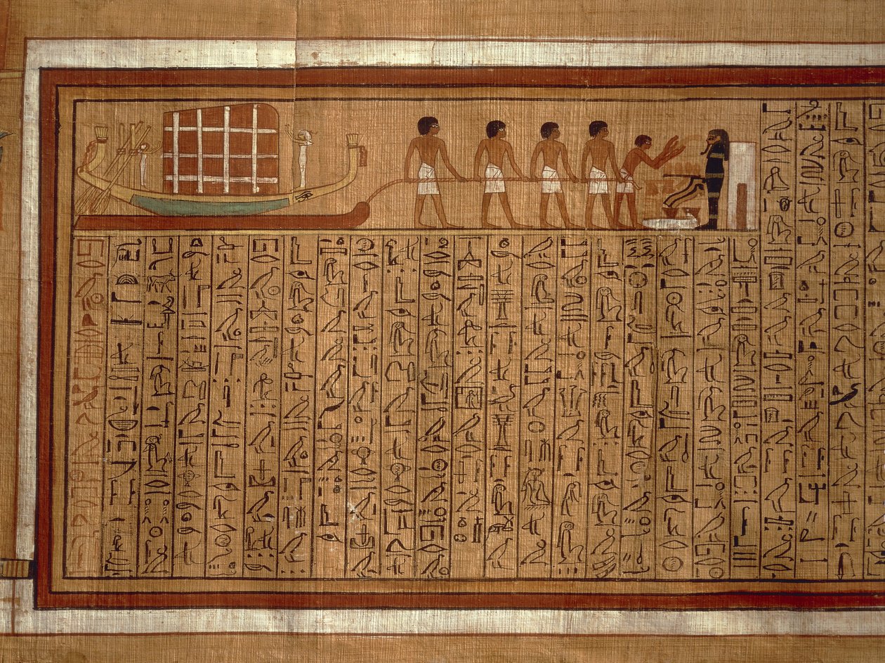 Papyrus du 