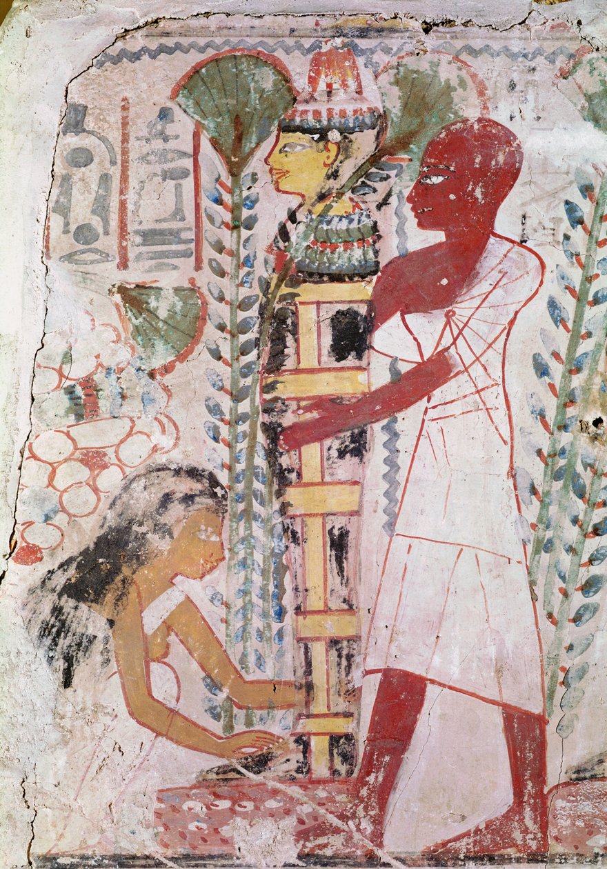 Préparation d