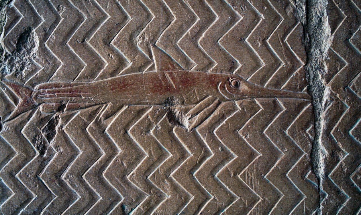Représentation de poissons, scènes du Royaume de Pount, mur sud de la colonnade centrale, Temple mortuaire d