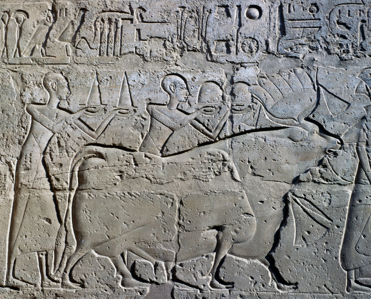 Personnages symbolisant les districts miniers apportant leurs tributs au dieu, relief, Cour de Ramsès II, Temple d
