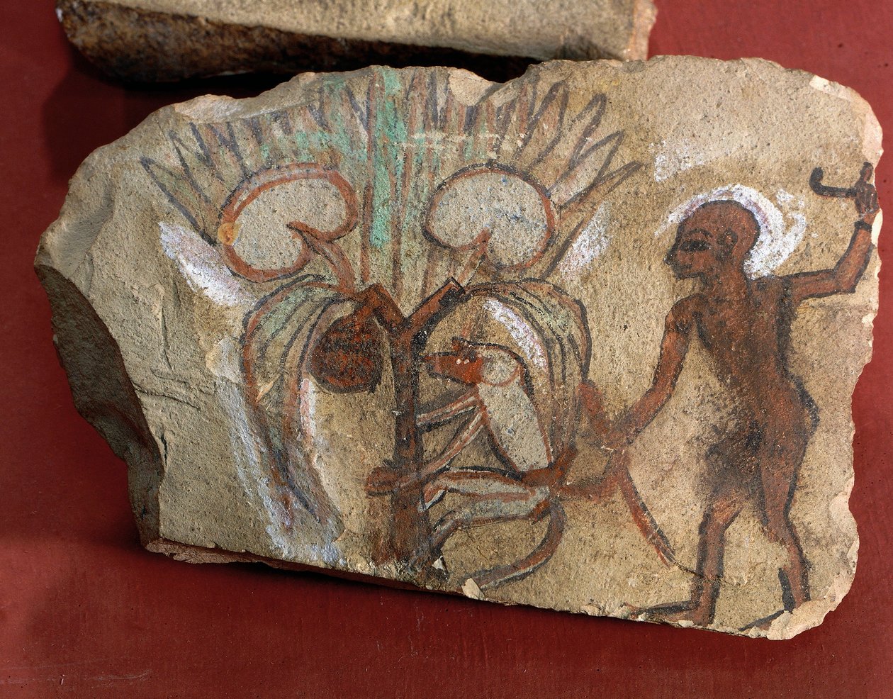 Ostracon représentant un singe cueillant des dattes observé par un jeune homme d