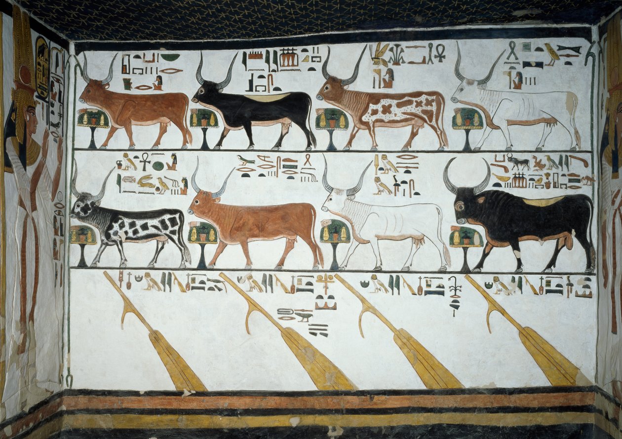 Sept vaches célestes, taureau époux et quatre rames de direction, chapitre 148 du Livre des Morts (détail) - Egyptian 19th Dynasty