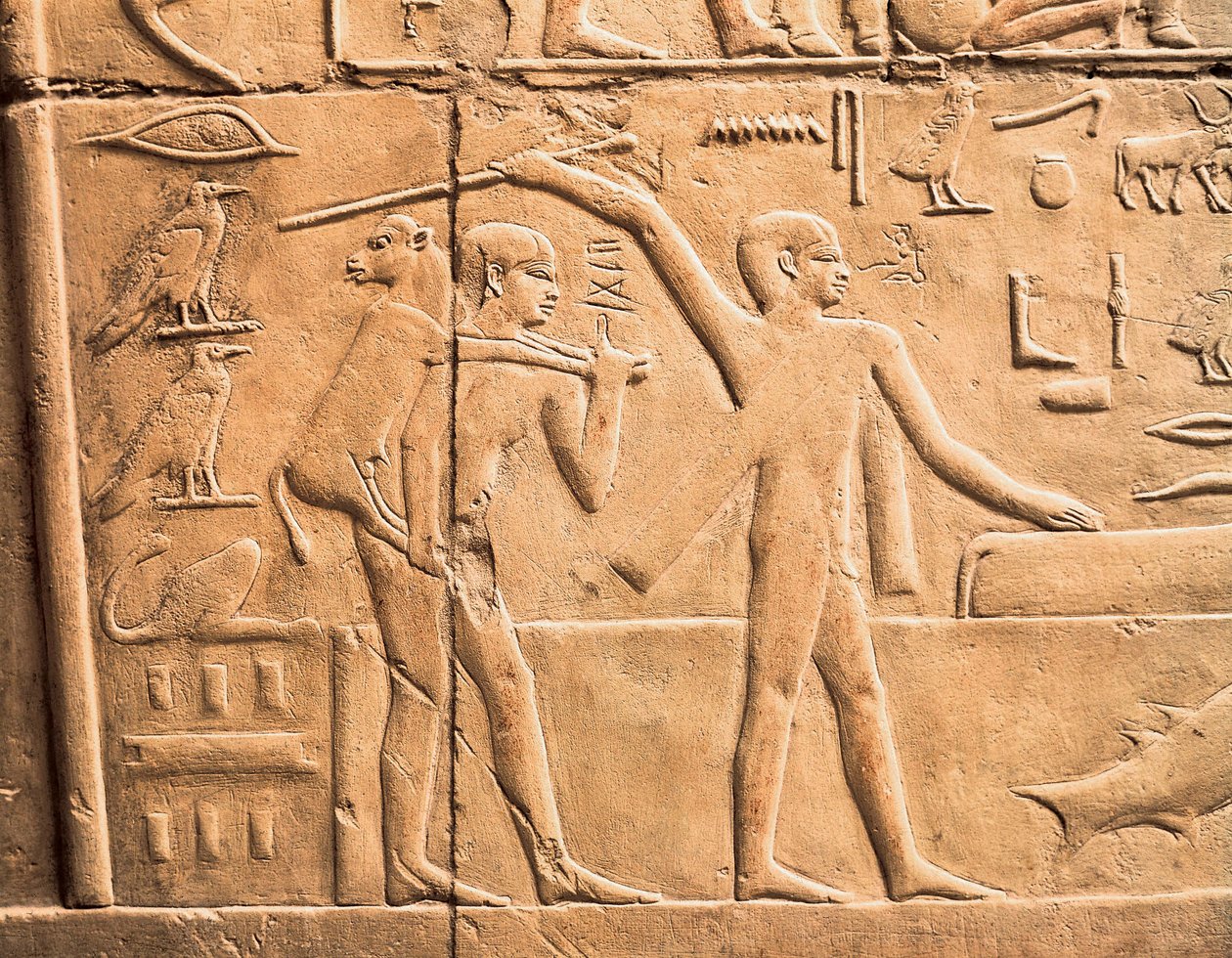 Scènes de travaux agricoles (détail) - Egyptian 4th Dynasty