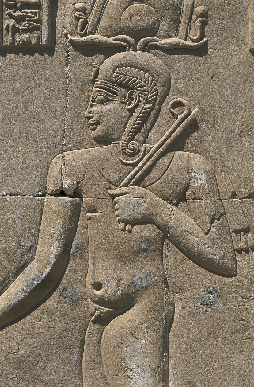 Égypte, désert libyen, oasis d