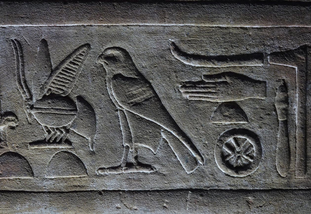 Hiéroglyphes, Abeille du Pharaon et Faucon d