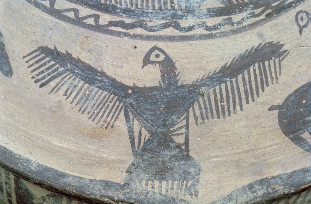 Oiseau de proie aux ailes déployées, de la face supérieure d