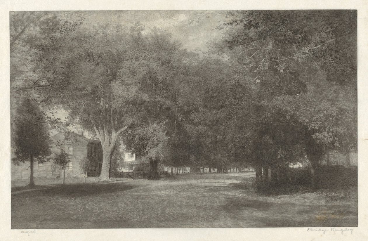 Ormes de la Nouvelle-Angleterre - Elbridge Kingsley