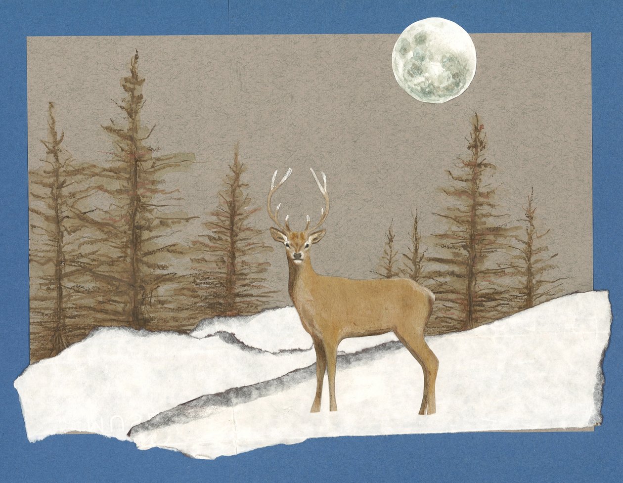 Rencontre nocturne, 2012 (aquarelle sur papier et collage) - Eleanor Grafton