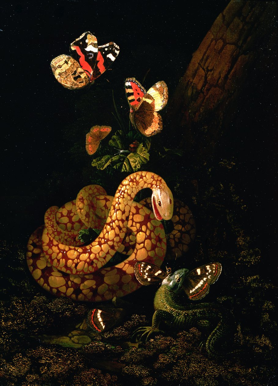 Nature Morte avec Serpent - Elias van den Broeck