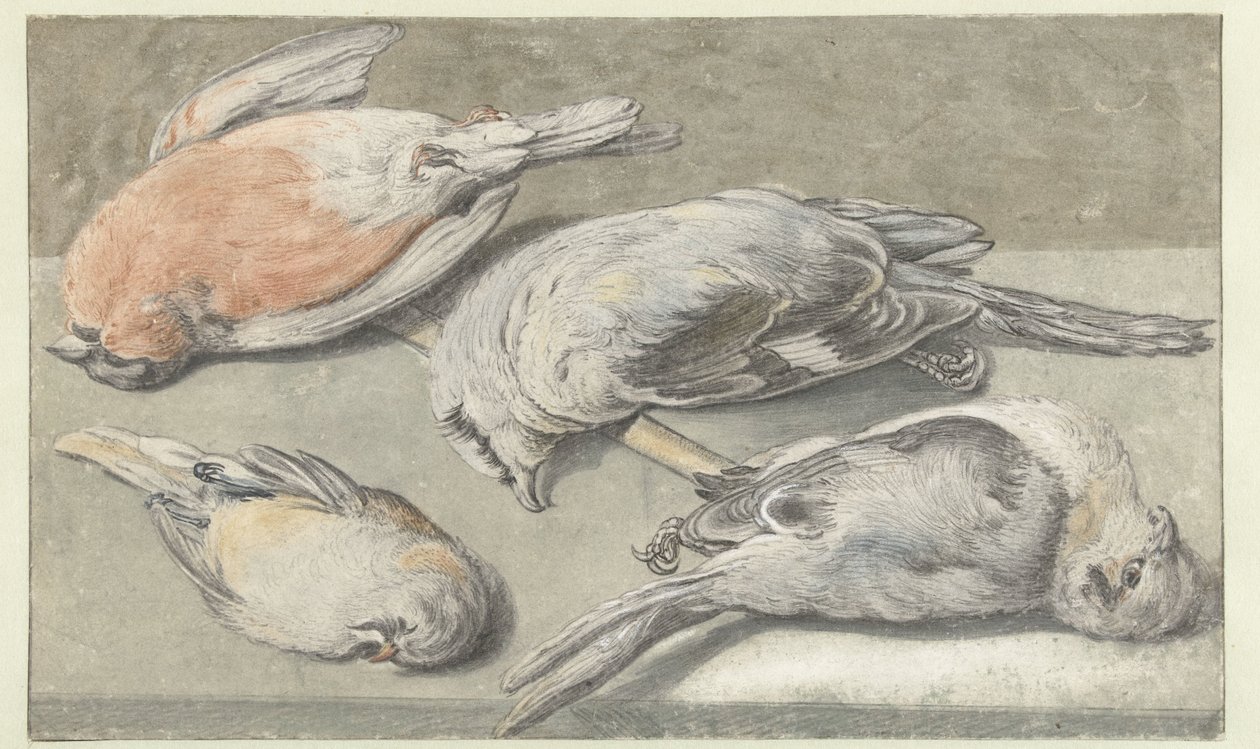 Nature morte avec quatre oiseaux morts - Elias Vonck