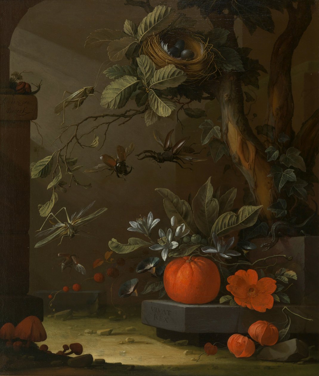 Vivat Rex - Elias van den Broeck