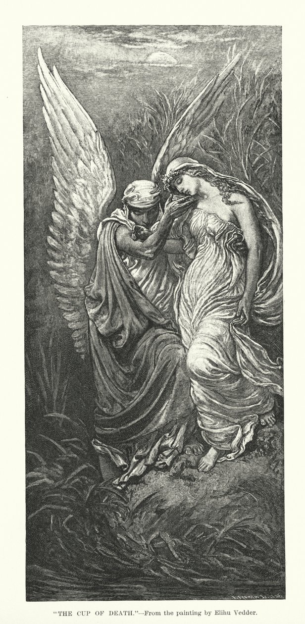 La coupe de la mort (gravure) - Elihu Vedder