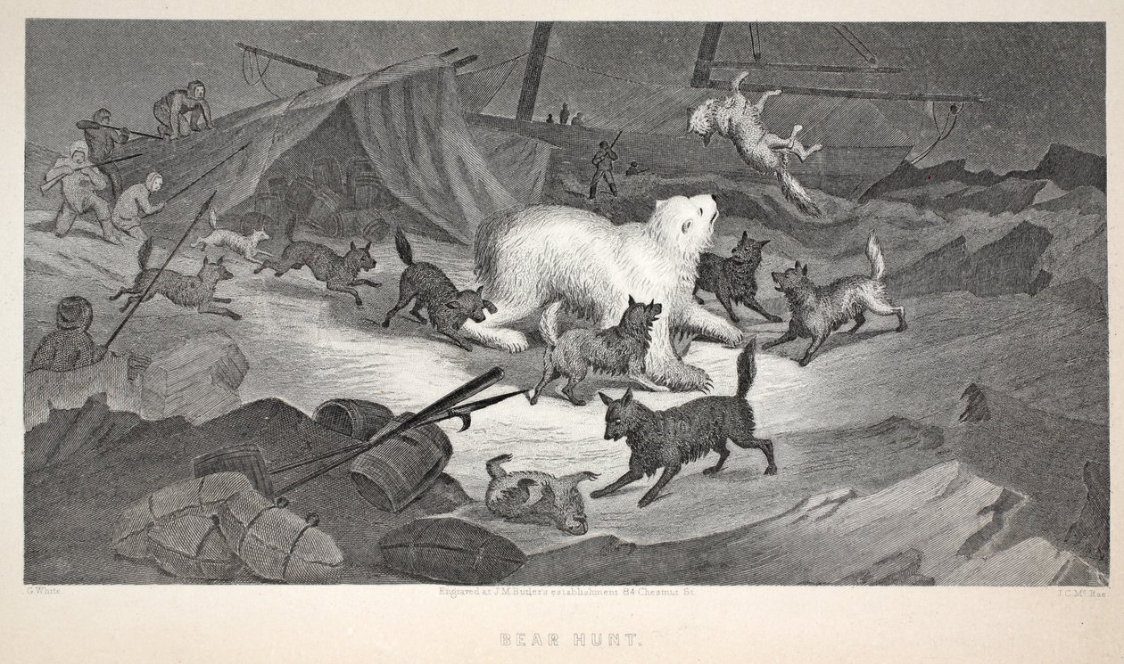 Chasse à l