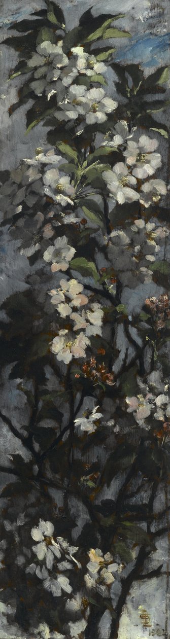Fleurs de pommier - Elizabeth Boott Duveneck