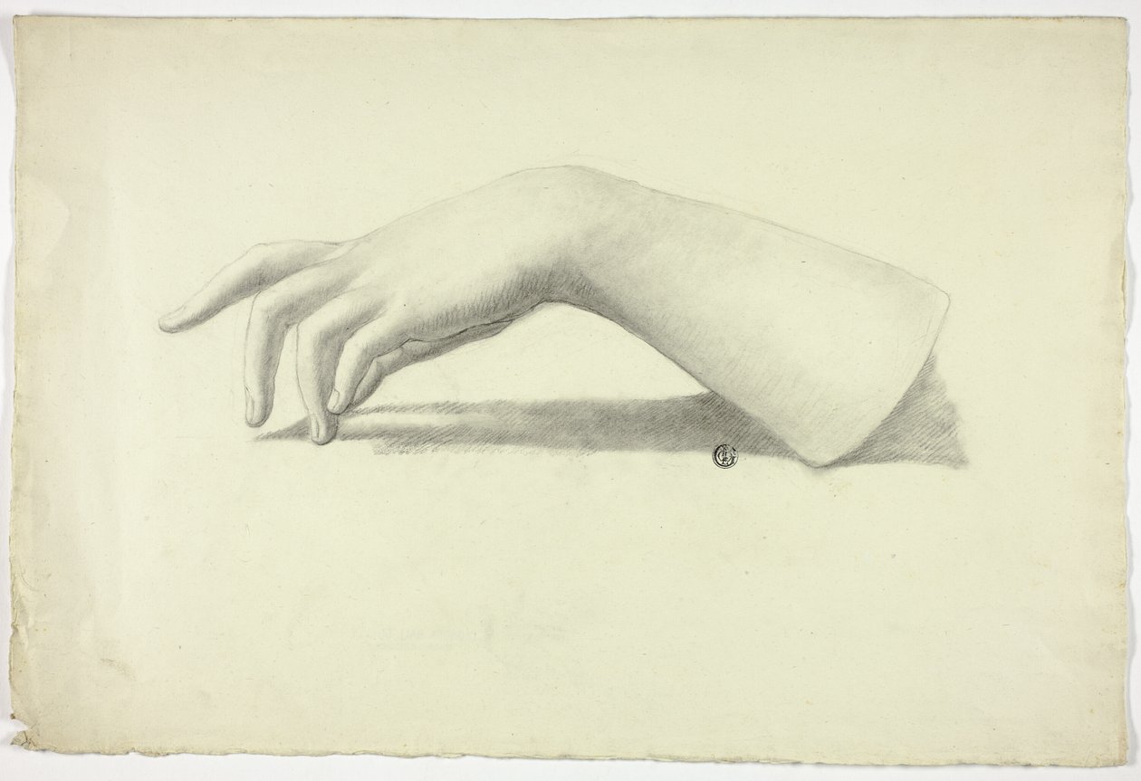 Avant-bras et main gauche - Elizabeth Murray
