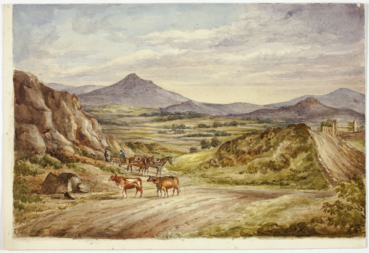 Collines de Wicklow - Elizabeth Murray