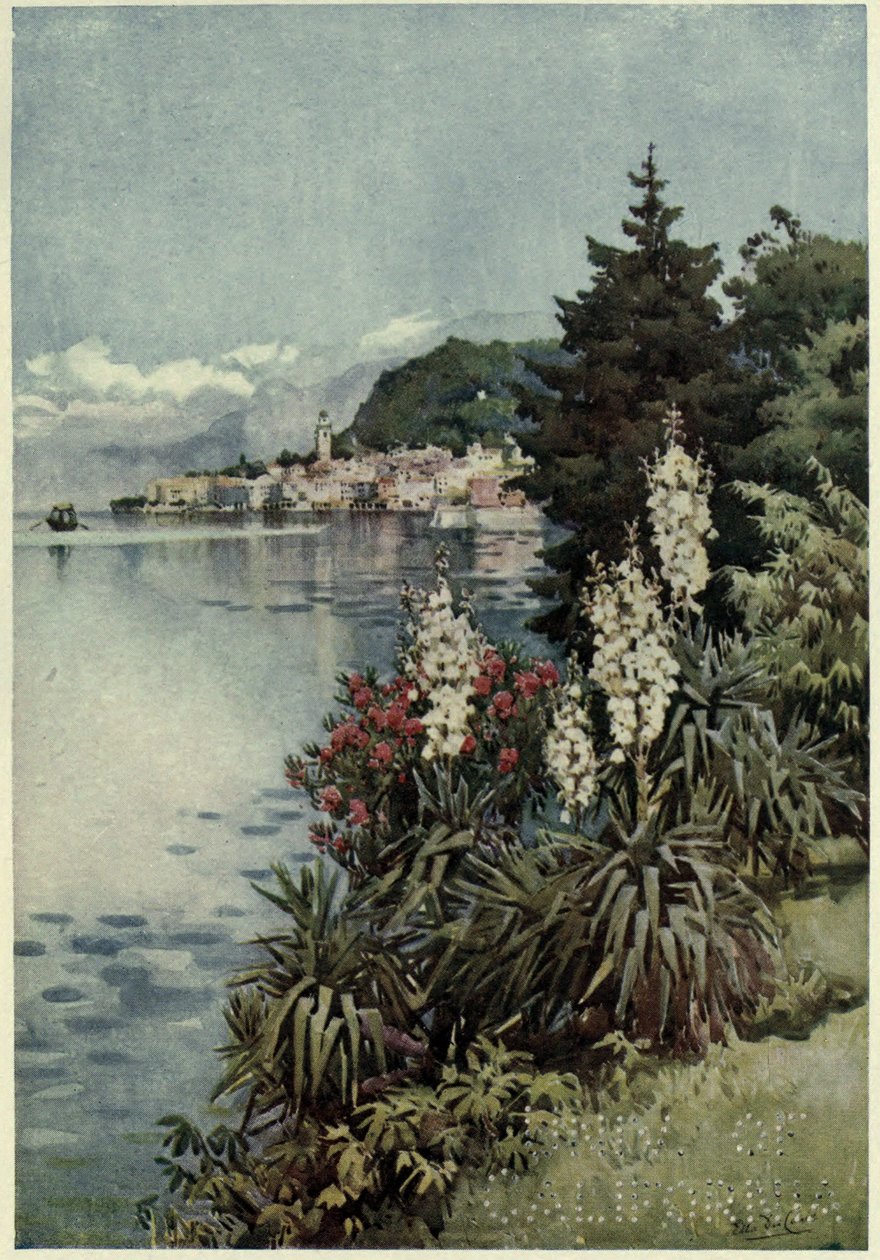 Un groupe de yuccas, Villa Melzi, Lago di Como, Illustration de 