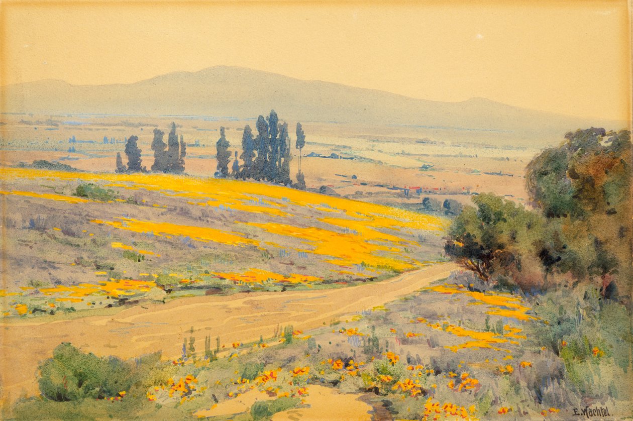 Paysage de Printemps en Californie, ca. 1920 - Elmer Wachtel