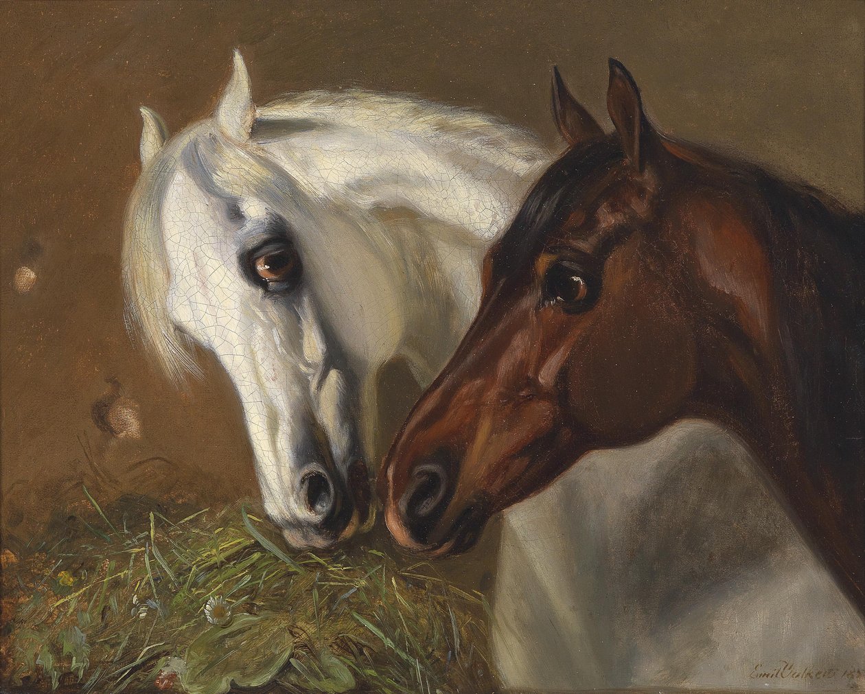 Deux têtes de cheval - Emil Volkers