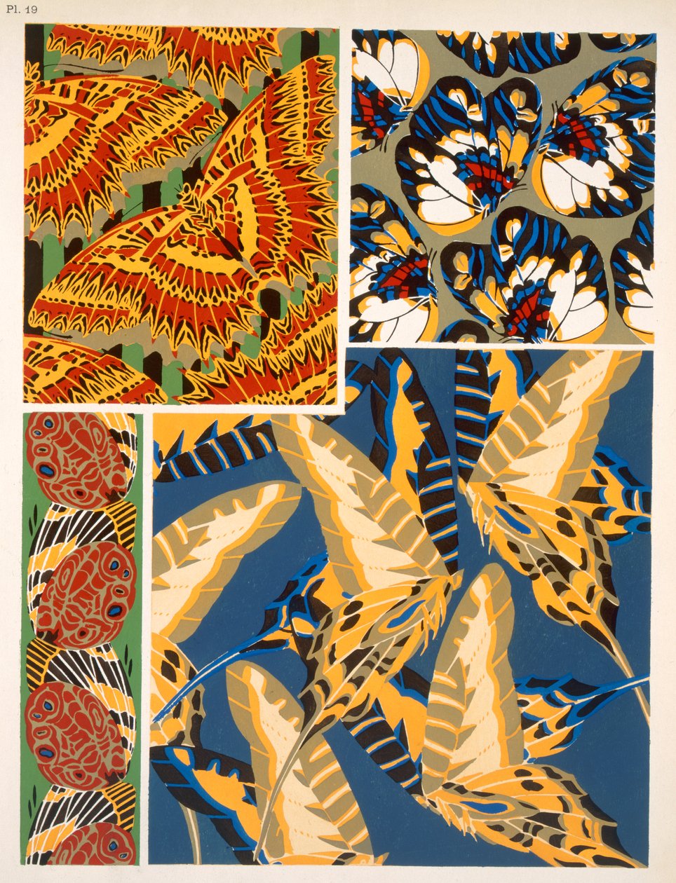 Motif d
