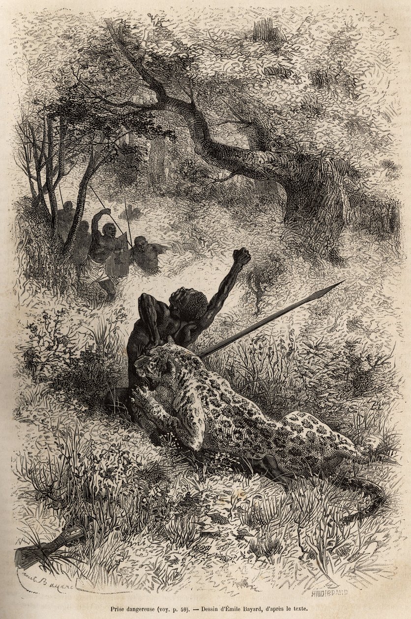 Un léopard saute sur un homme et le mord cruellement dans le dos, dans les environs de Bambare (Congo), gravure d