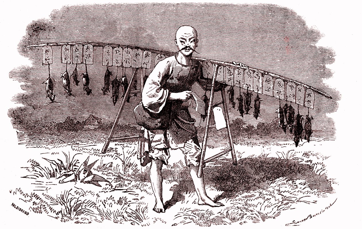 Tueur de rats en Chine. 1874 (gravure) - Emile Antoine Bayard
