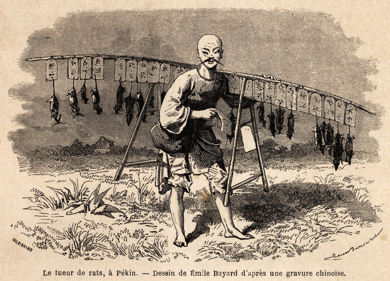 Le tueur de rats à Pékin. Dessin d