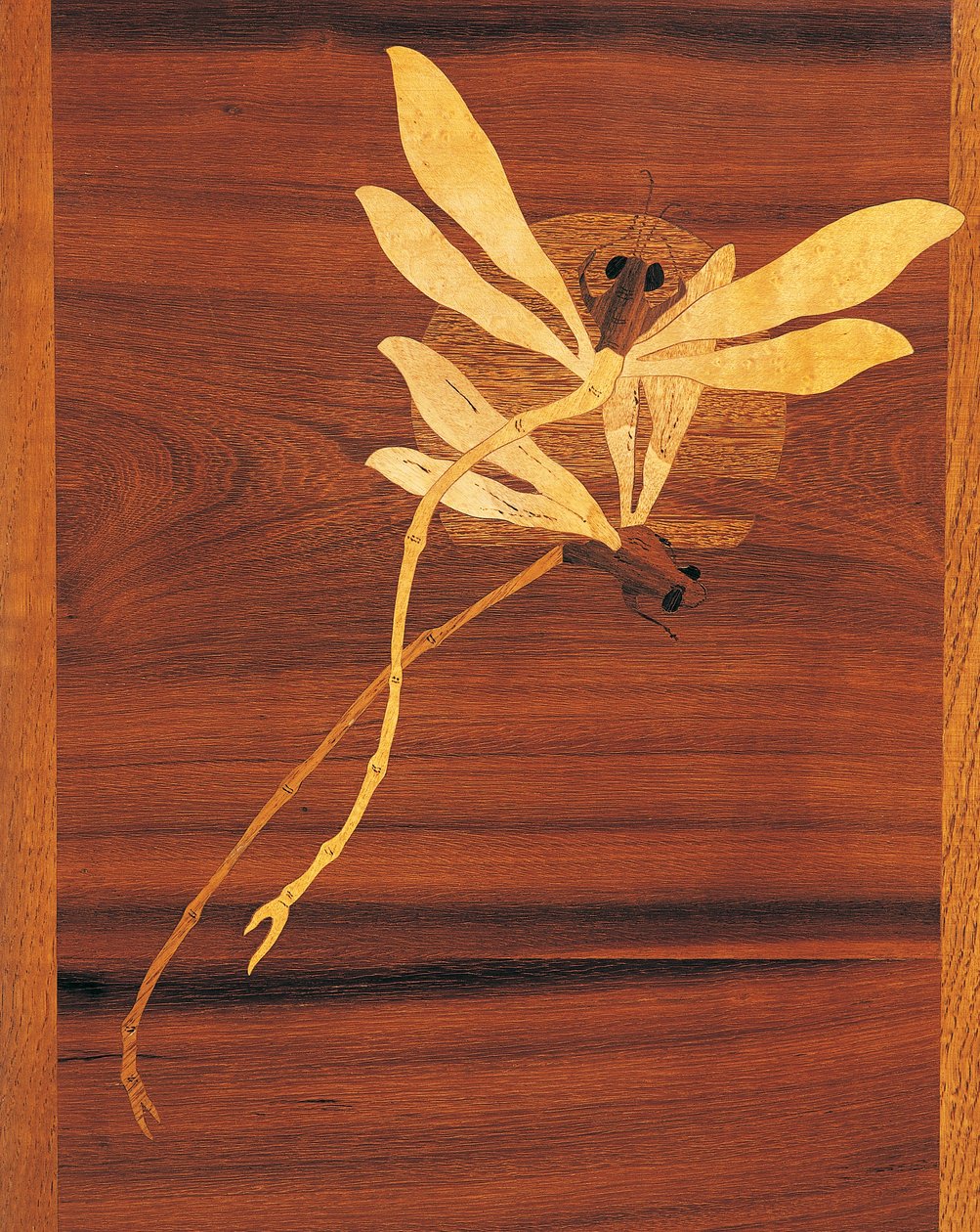 Libellules, détail d