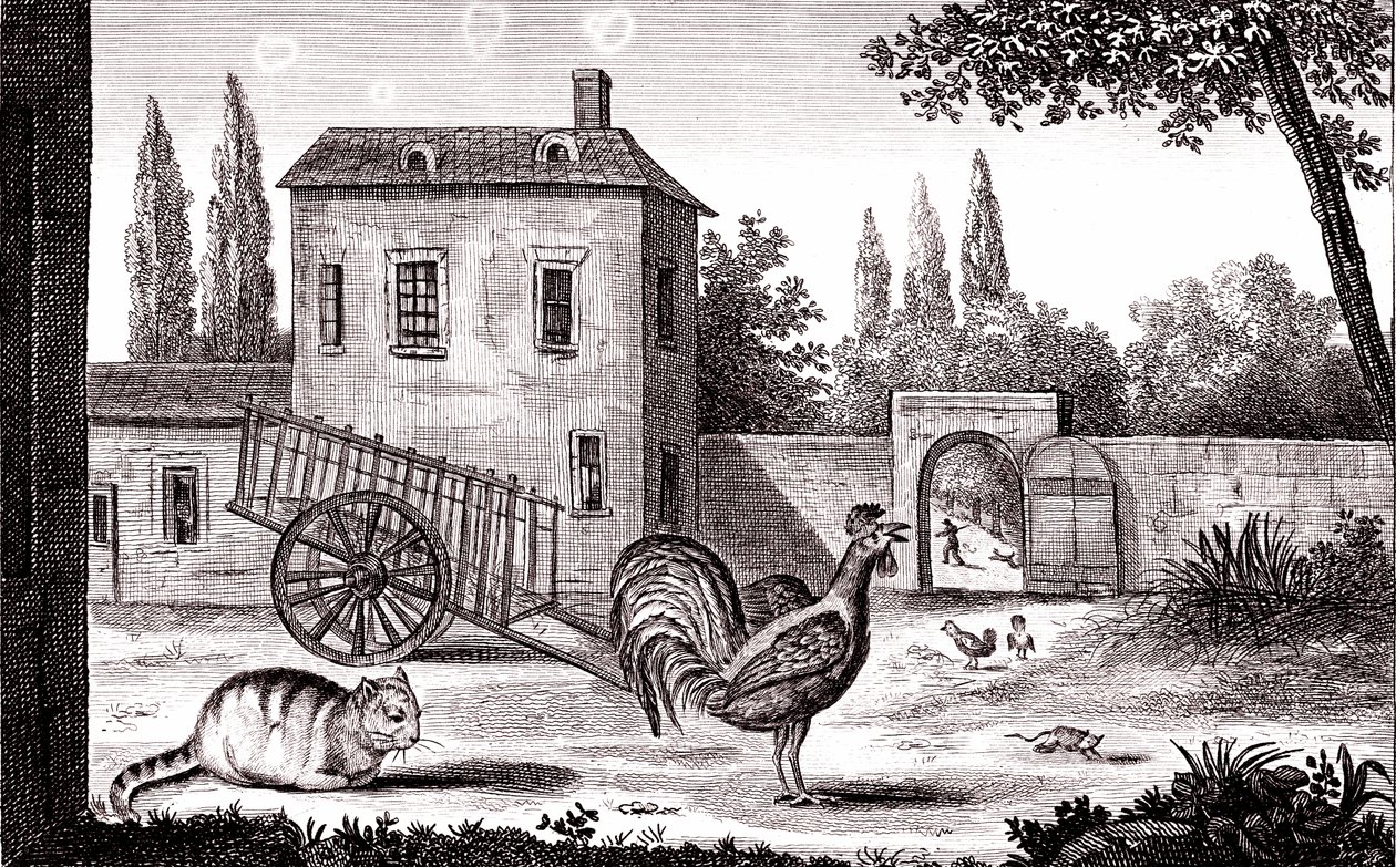 Le coq, le chat et la souris, Fable de La Fontaine - Emile Joseph Alexandre Gouget