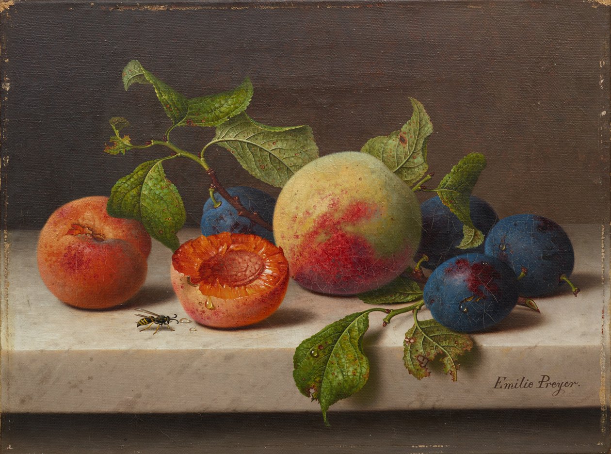 Nature morte aux fruits - Emilie Preyer