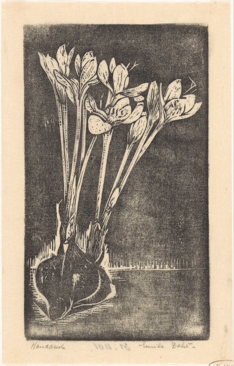 Colchique - Emilius Wilhelmus Dehé (signed by artist)