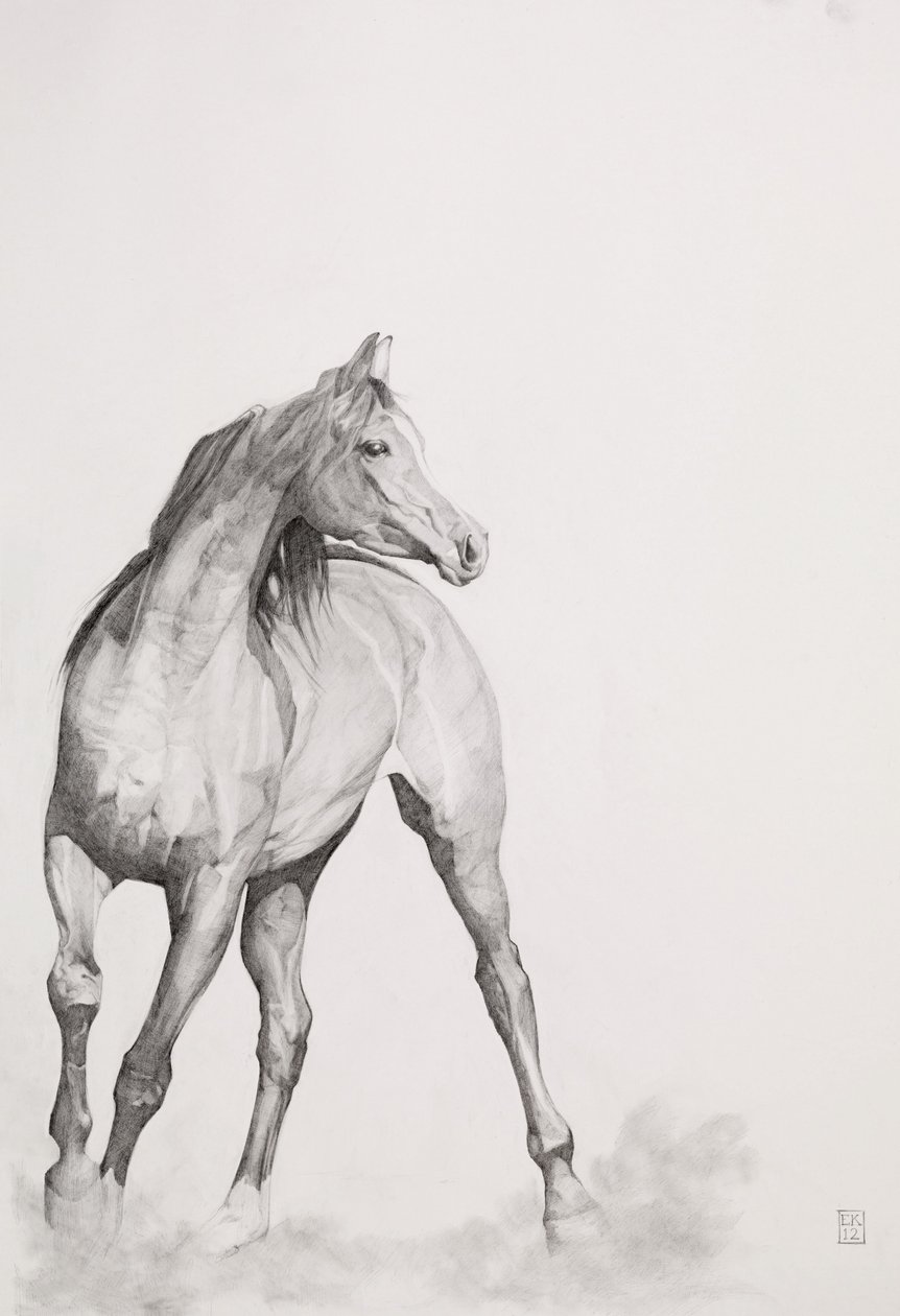 Image en mouvement, Série 1, 2012 - Emma Kennaway