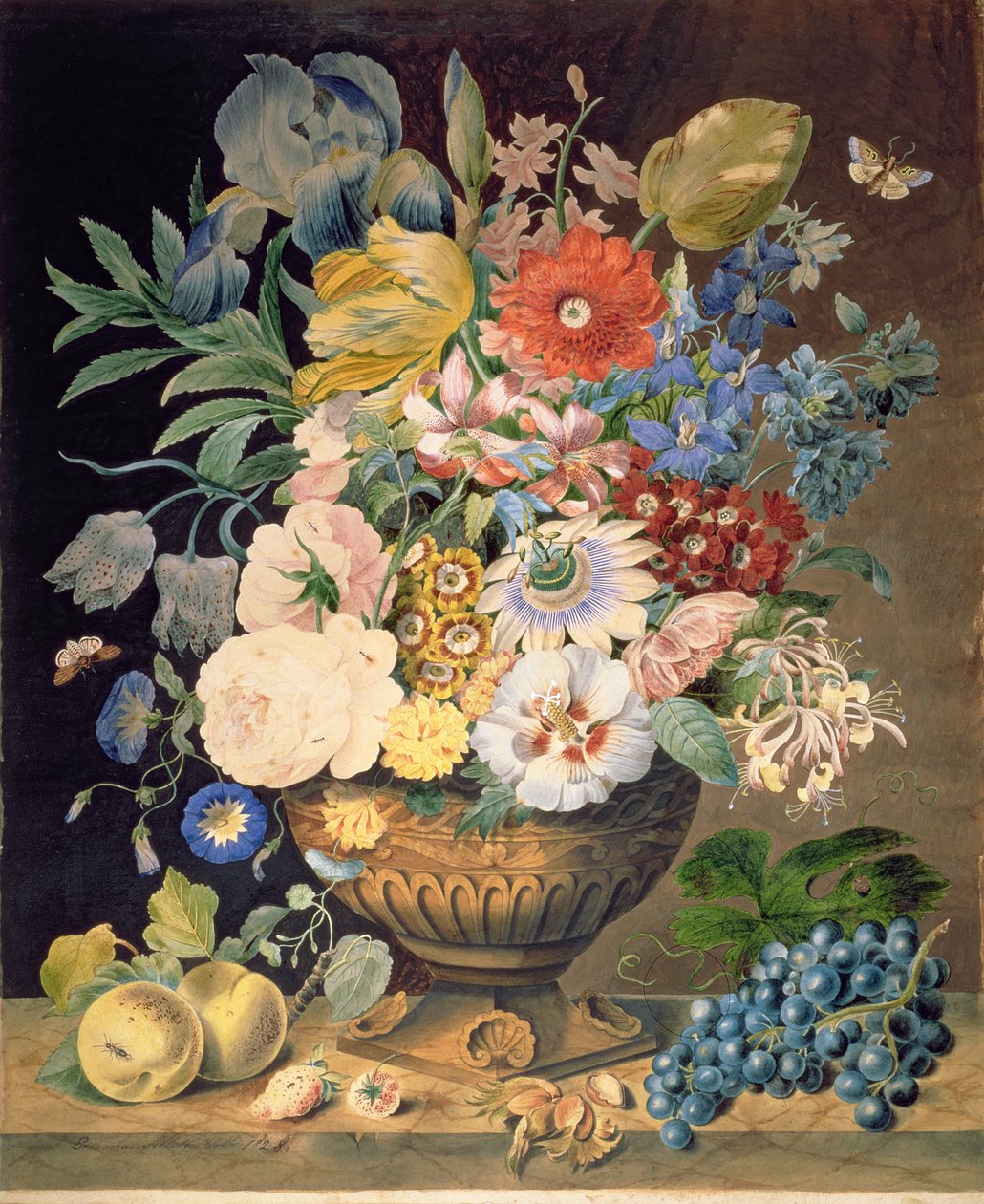 Fleurs et fruits, 1828 - Emma Sillett