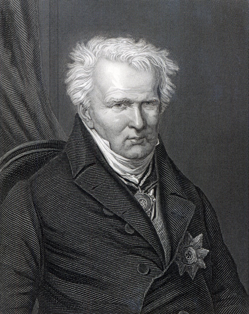 Alexander von Humboldt, gravé par C. Cook - Emma Gaggiotti Richards