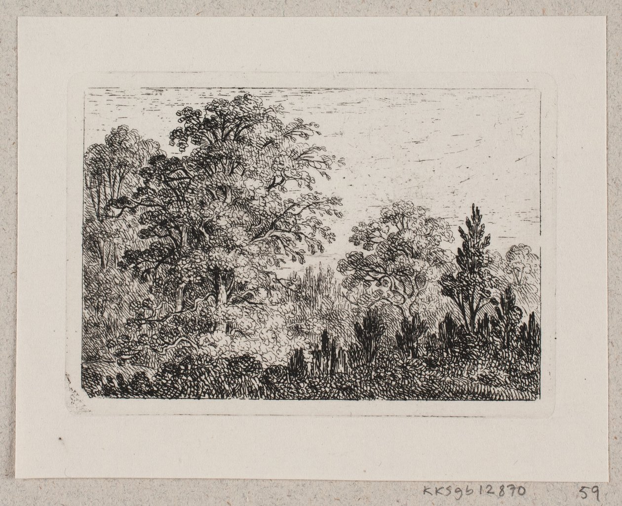 Paysage forestier - Emma Meyer