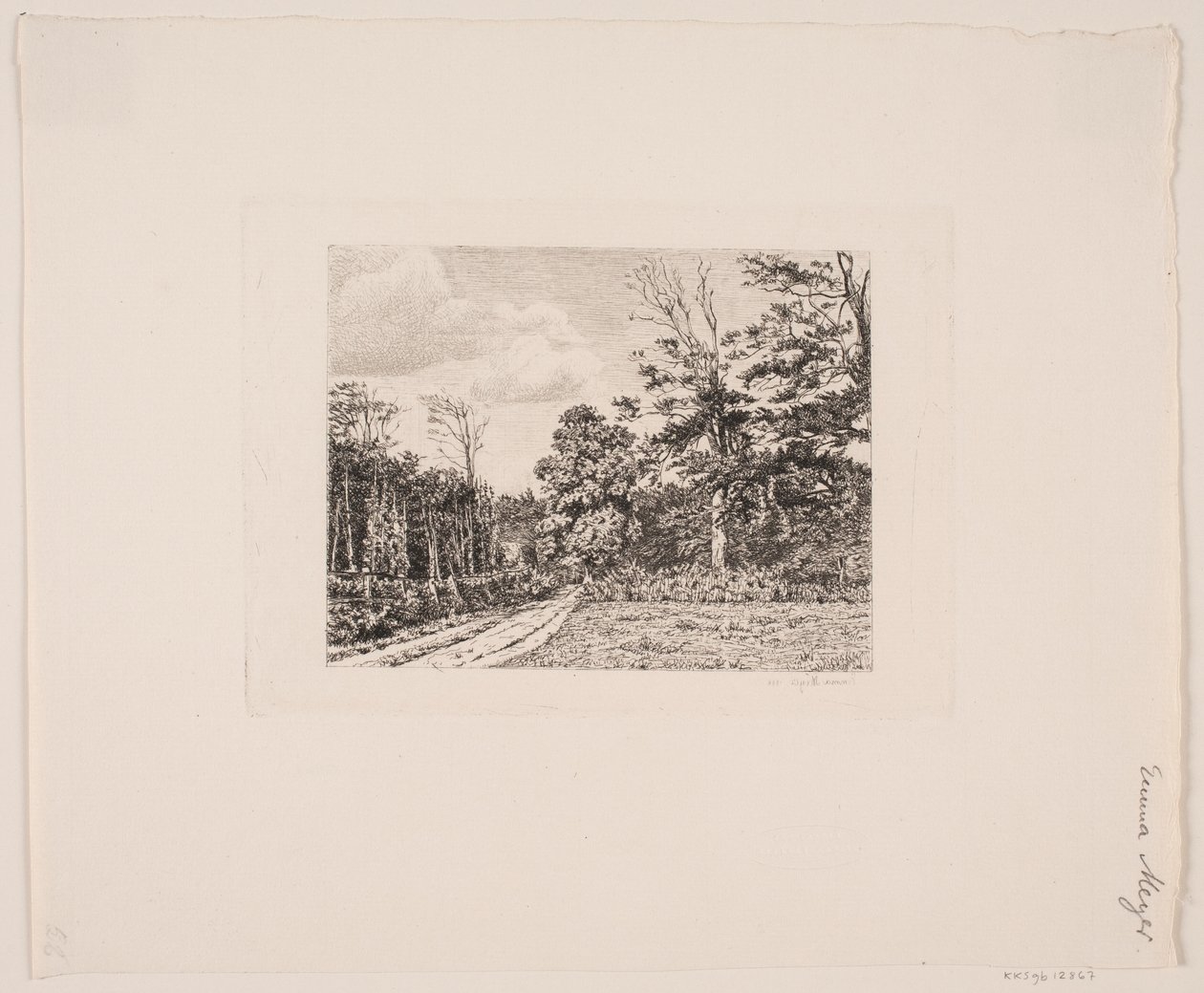 Paysage forestier - Emma Meyer