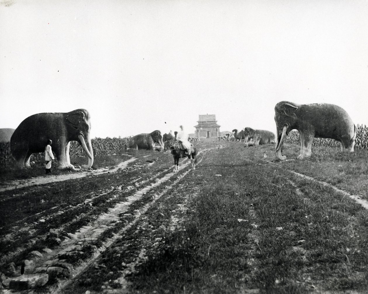 Avenue des animaux gardiens menant aux tombeaux Ming, Pékin, vers 1868-70 - English Photographer