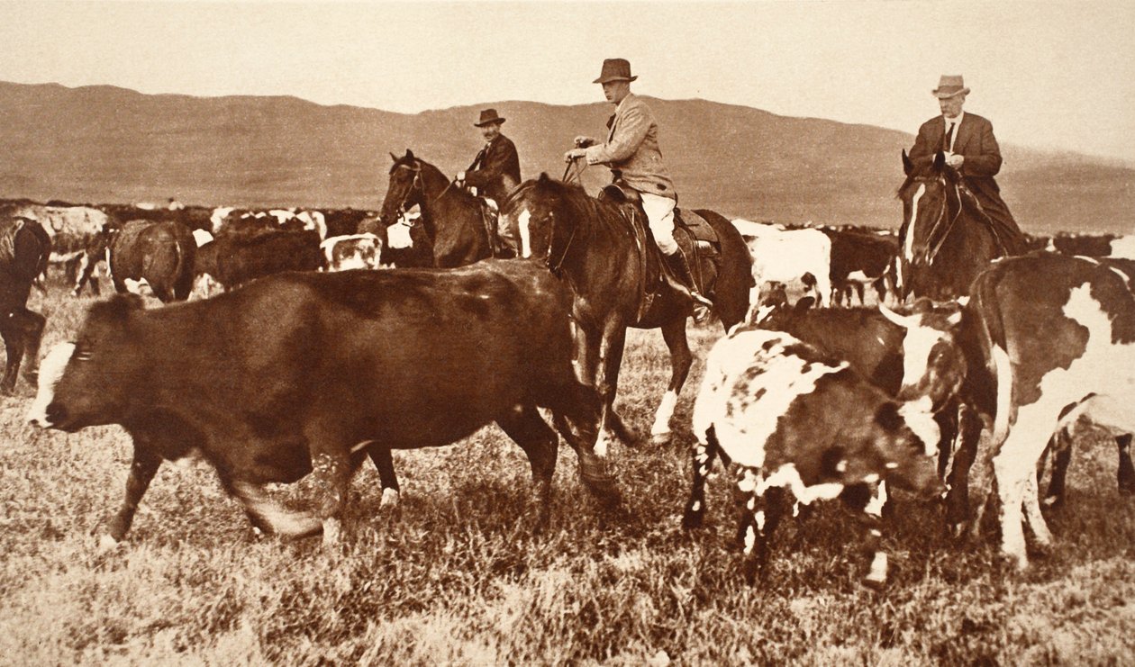 Le roi Édouard VIII rassemblant du bétail en Alberta, Canada, années 1920 - English Photographer