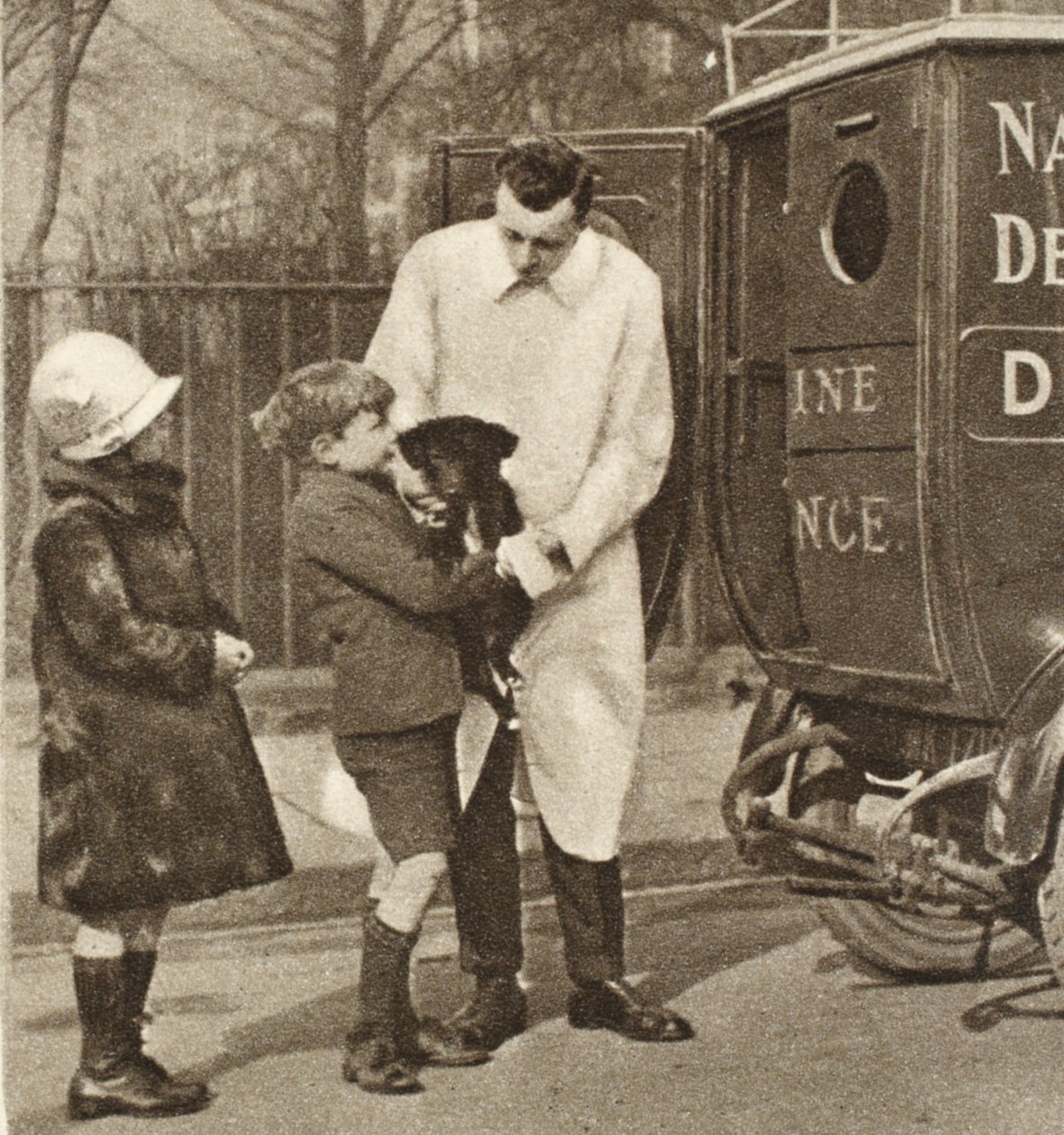Le vétérinaire de la branche de Fulham de la Dispensaire pour Animaux Malades, de Wonderful London, publié 1926-27 - English Photographer