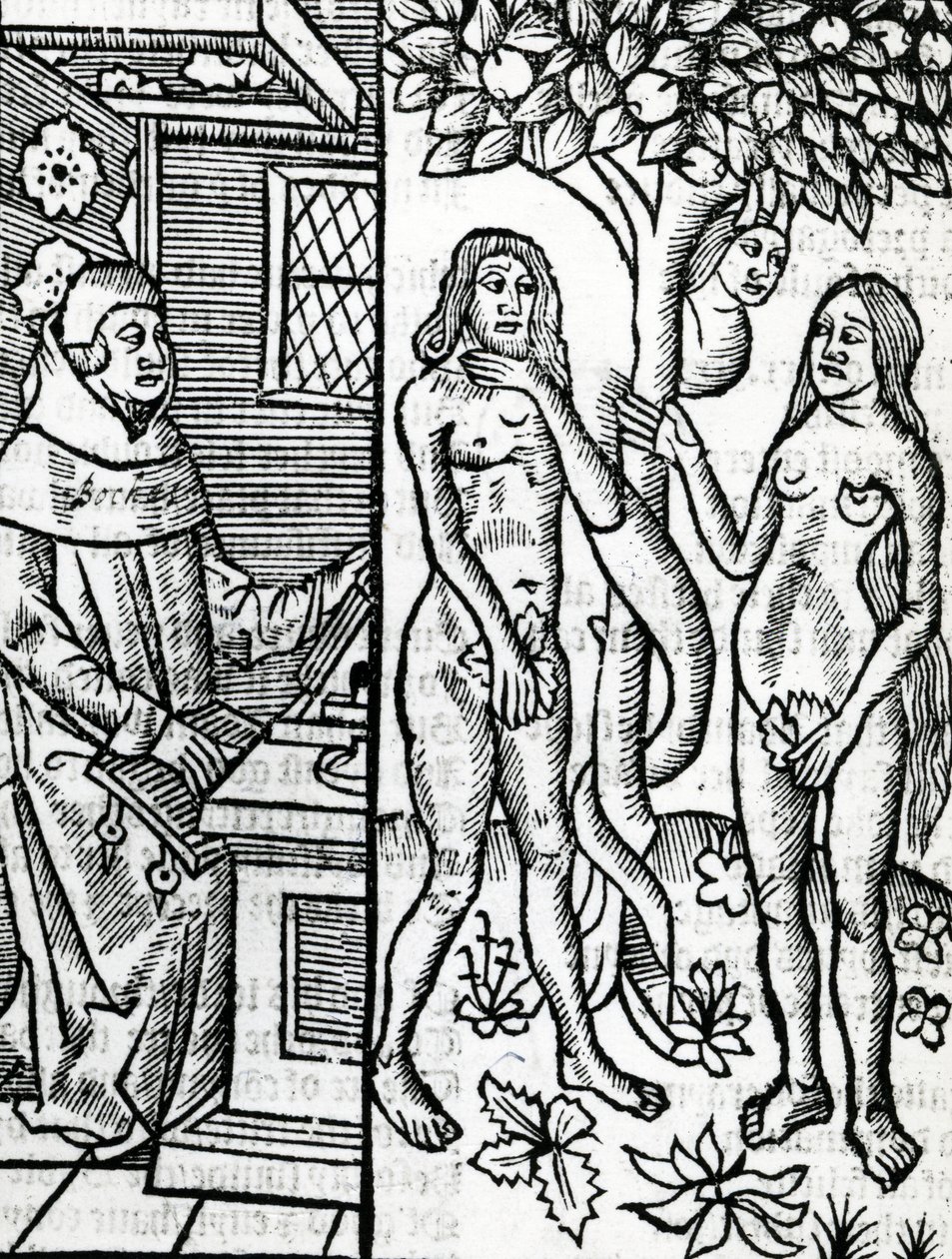 Adam et Ève, illustration de la traduction de John Lydgate de 