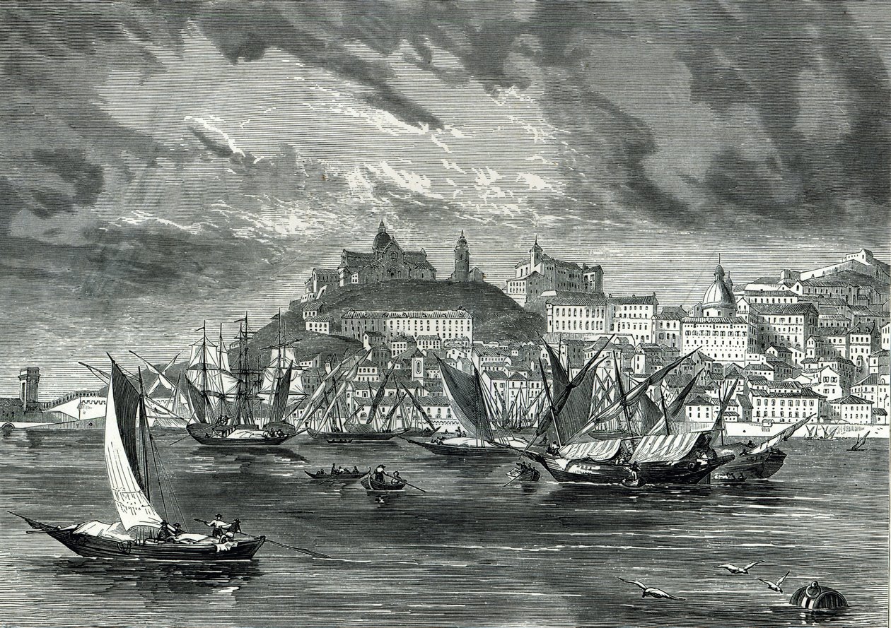 Ancona - English School