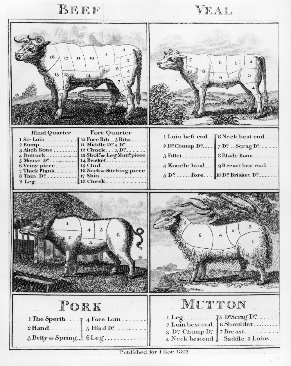 Découpes de bœuf, veau, porc et mouton, 1802 - English School