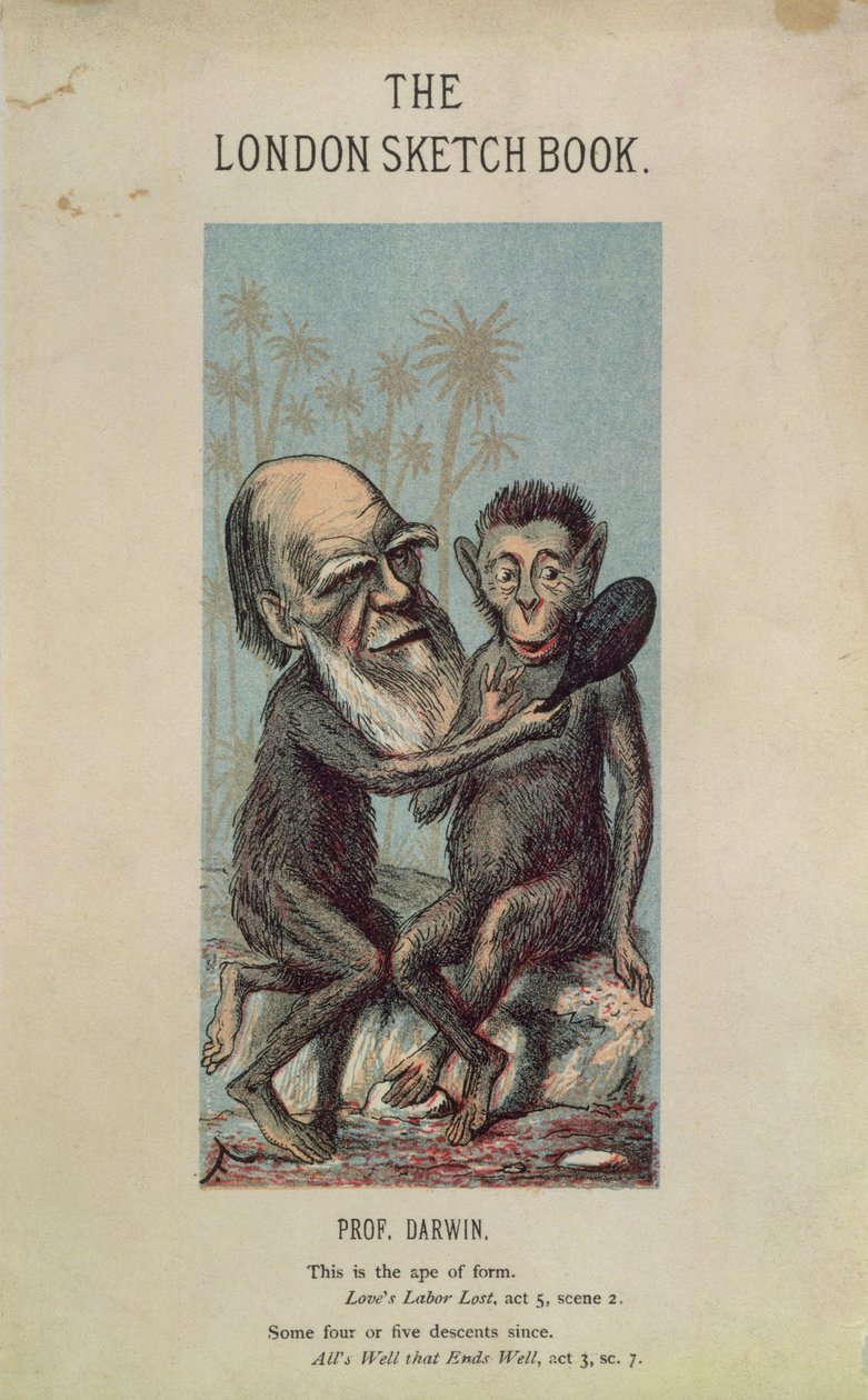 Caricature de Darwin avec un singe, du London Sketch Book, avril 1874 Vol 1 No. 4 - English School