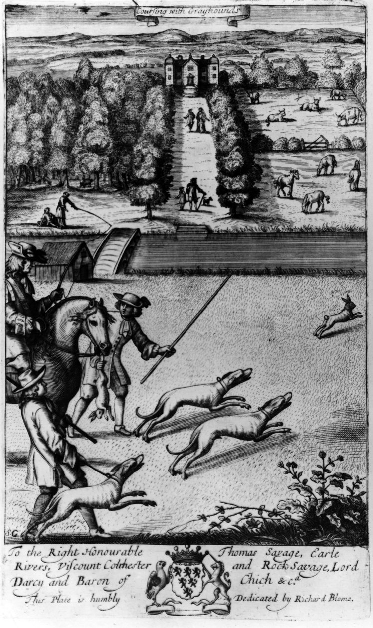 Course avec des lévriers, de 