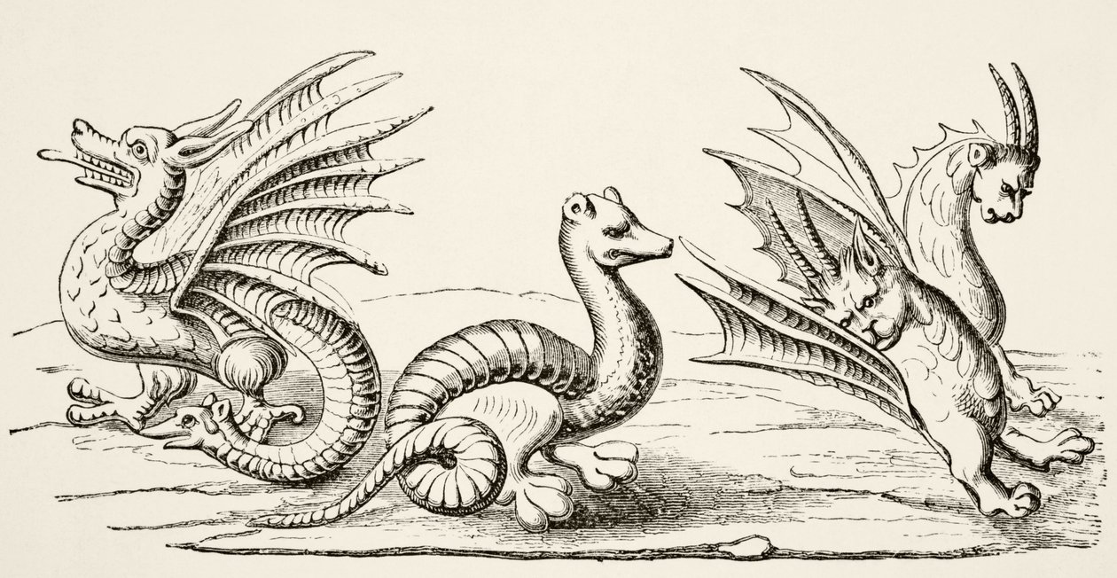 Dragons, d