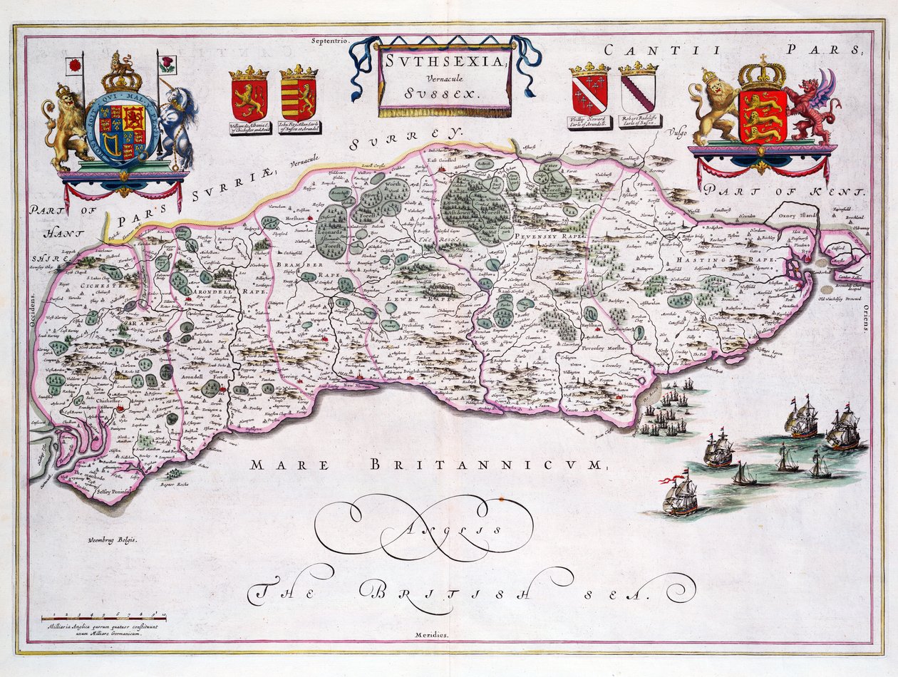Carte du Sussex - English School